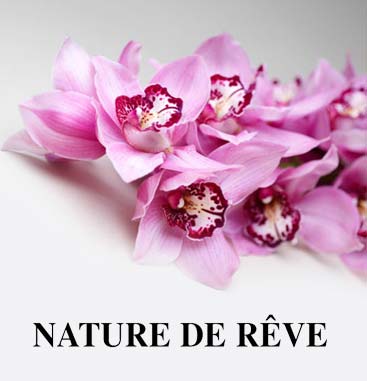 nature de reve