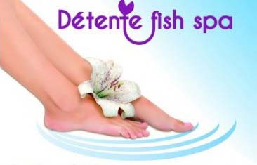 Détente fish spa